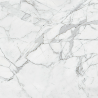 Гранит керамический K-1000/LR MARBLE TREND Carrara 60x60х1 см