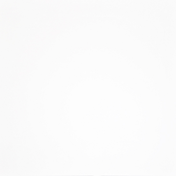 Гранит керамический G-100/MR ДОМИНО Белый 60х60х1 см